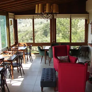  Apart Otel Sari Konak Butik Türkiye